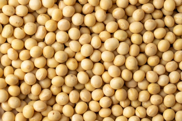 大豆