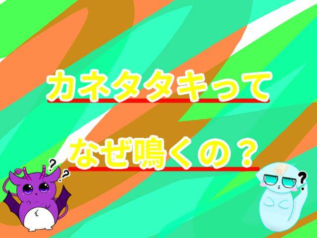 カネタタキ なぜ鳴く