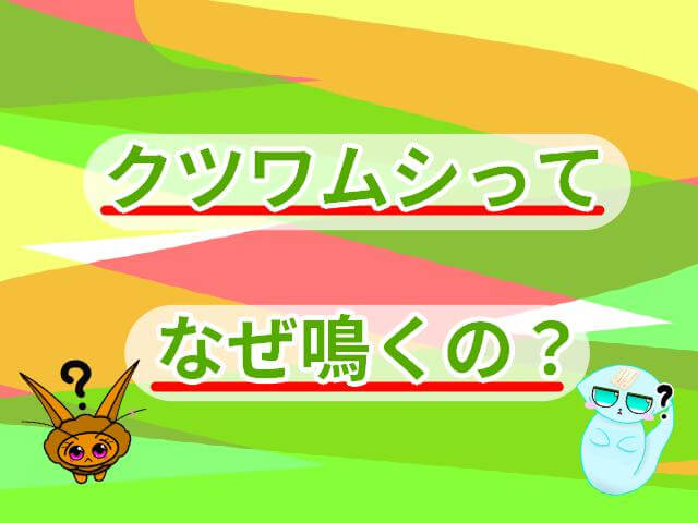 クツワムシ なぜ鳴く