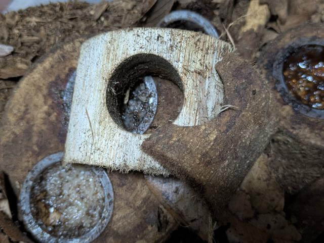 カブトムシ エサ皿