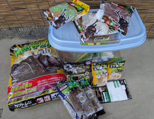 カブトムシ飼育セット