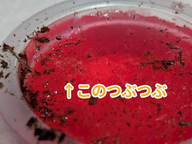 昆虫ゼリー 謎のつぶつぶ