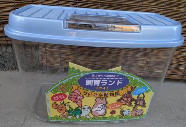 飼育ケース