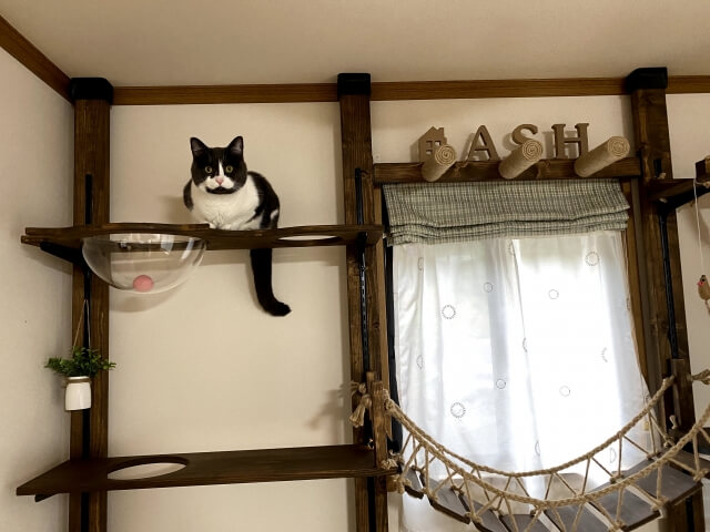 ネコ キャットタワー