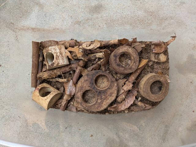 カブトムシ 飼育ケース
