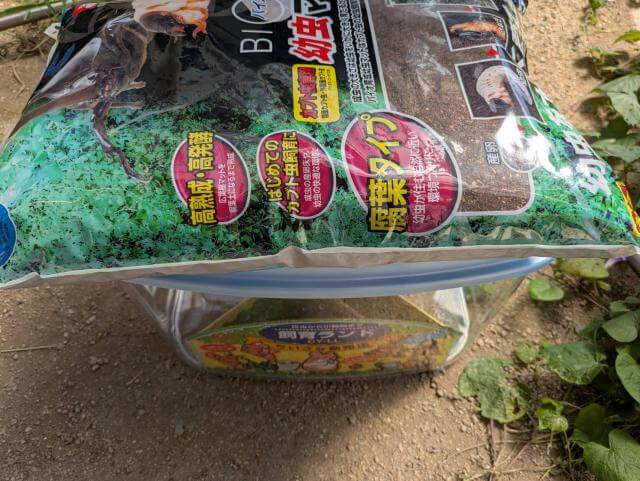 飼育ケース 昆虫マット