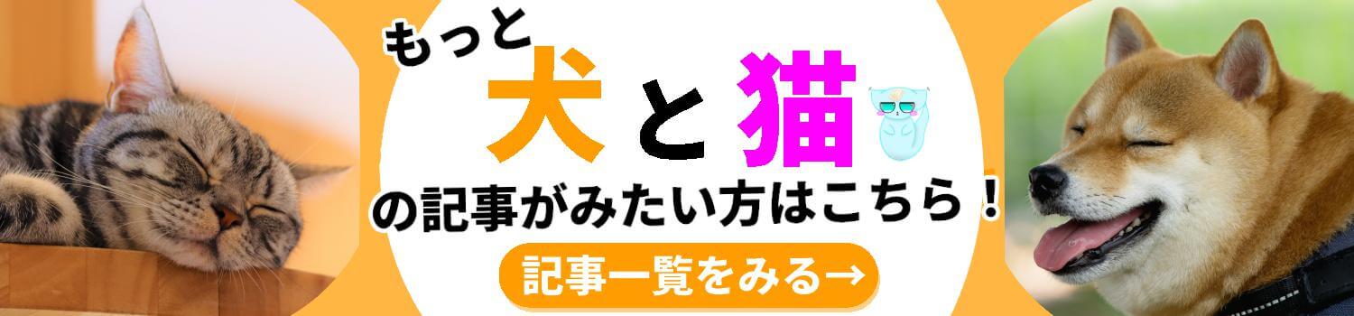 犬＆猫 豆知識