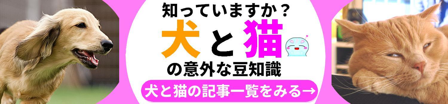 犬＆猫 豆知識 一般用