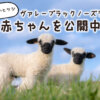 那須どうぶつ王国
